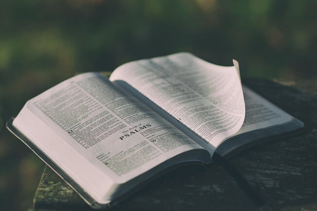 Brot, Wein und Buch