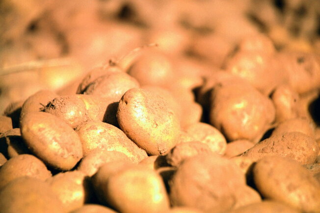 Kartoffelfest