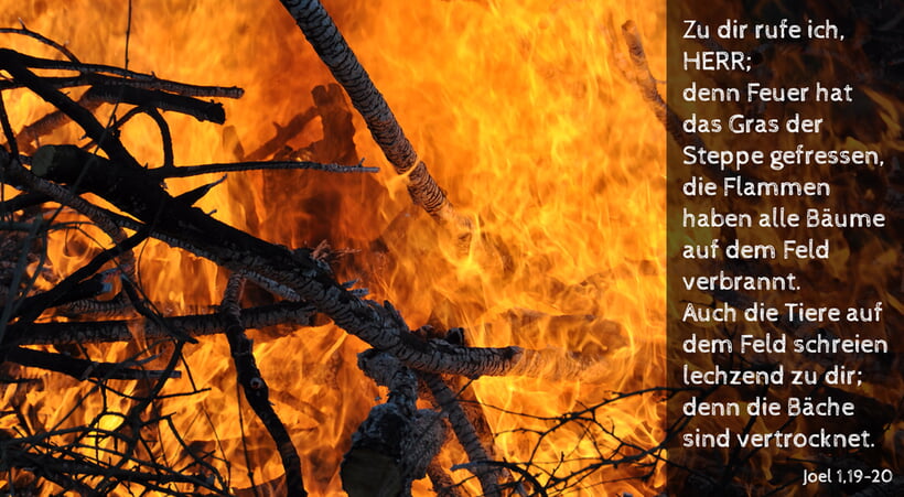 Monatsspruch Mai 2025