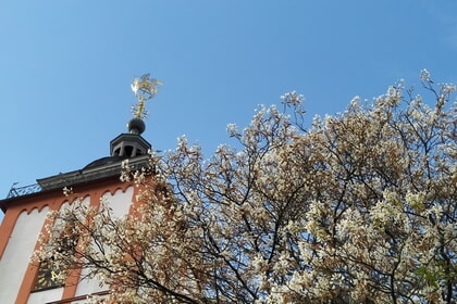 Tag des offenen Denkmals