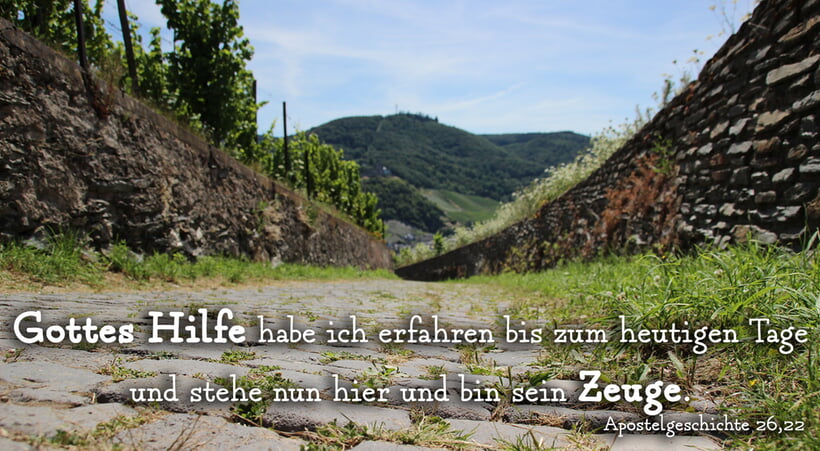 Monatsspruch August 2025