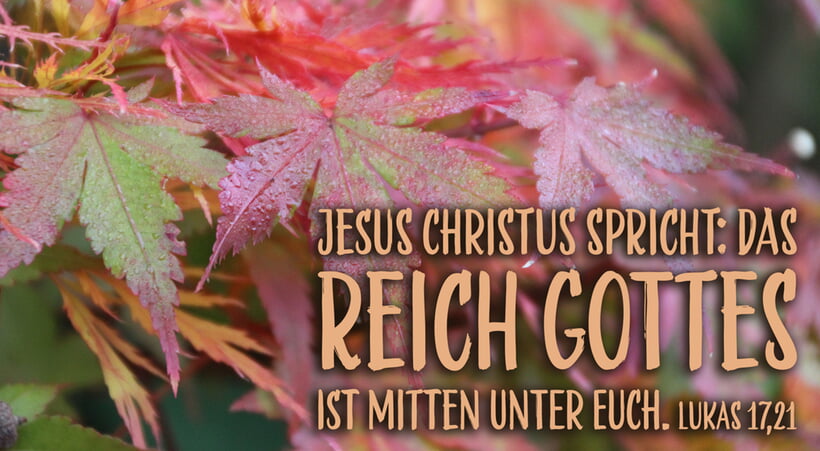 Monatsspruch Oktober 2025