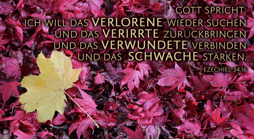 Monatsspruch November 2025