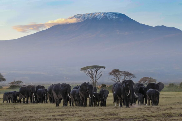 Partnerschaften mit Tanzania