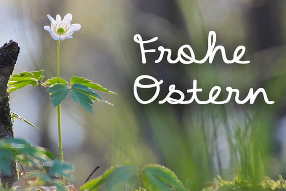 Ostergottesdienste